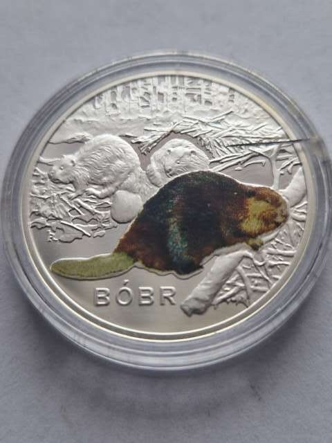 Numizmat Symbole Przyrody Bóbr