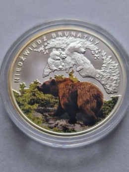 Numizmat Symbole Przyrody Niedźwiedź Brunatny