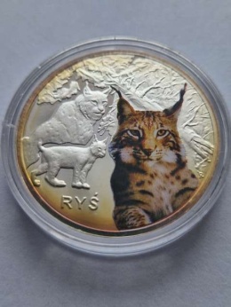 Numizmat Symbole Przyrody Ryś