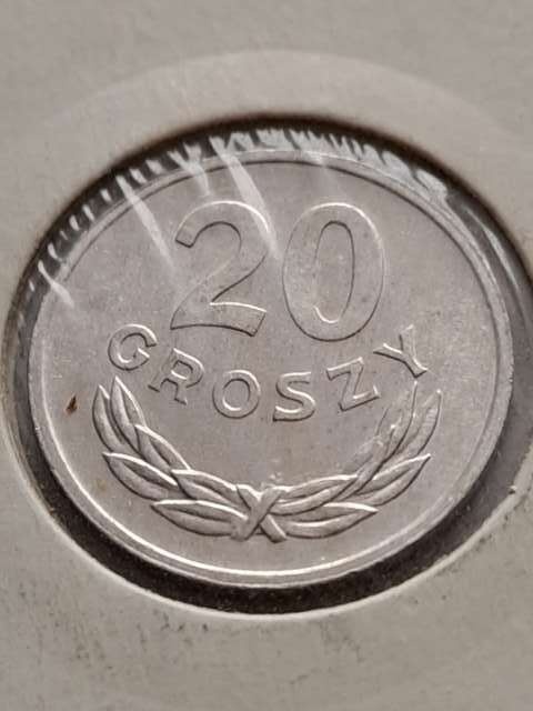20 Groszy 1981 r