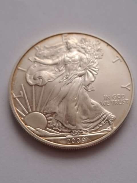 USA Dollar Liberty 2009 r