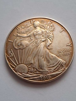 USA Dollar Liberty 2010 r