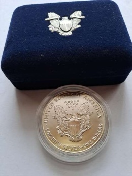 USA Dollar Liberty 1993 r