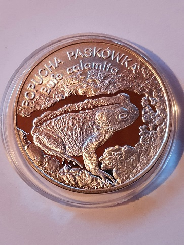 20 zł Ropucha Paskówka 1998 rok 20 zł Ropucha Paskówka 1998 rok