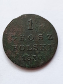 Królestwo Polskie 1 Grosz 1830 r Królestwo Polskie 1 Grosz 1830 r