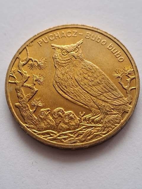 2 zł Puchacz 2005 r