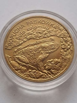 2 zł Ropucha Paskówka 1998 r