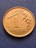 1 grosz 2005 r odwrotka