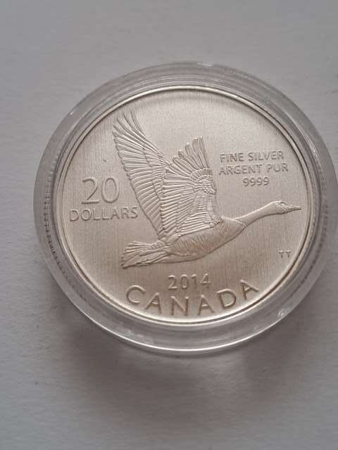 Kanada 20 Dolarów Gęś 2014 r