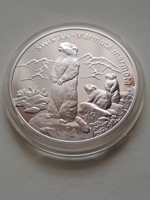 20 zł Świstak 2006 r