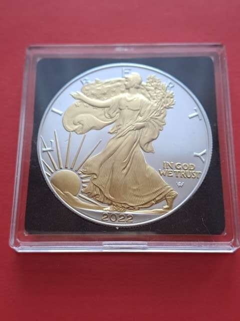 USA Dollar Liberty 2022 r