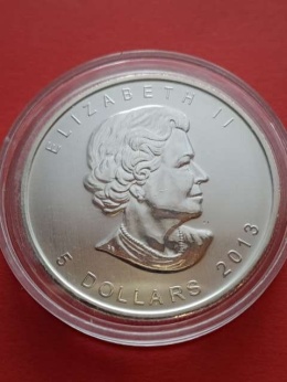 Kanada 5 Dolarów Liść 2013 r