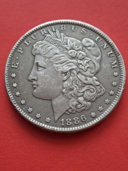 USA Dollar Morgan 1886 r