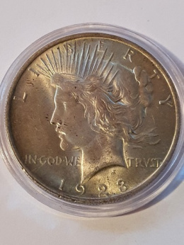 USA Dollar Peace 1923 r