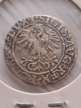 Półgrosz Zygmunt II August 1561 r