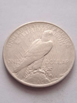USA Dollar Peace 1923 r