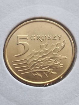 5 Groszy 2023 r