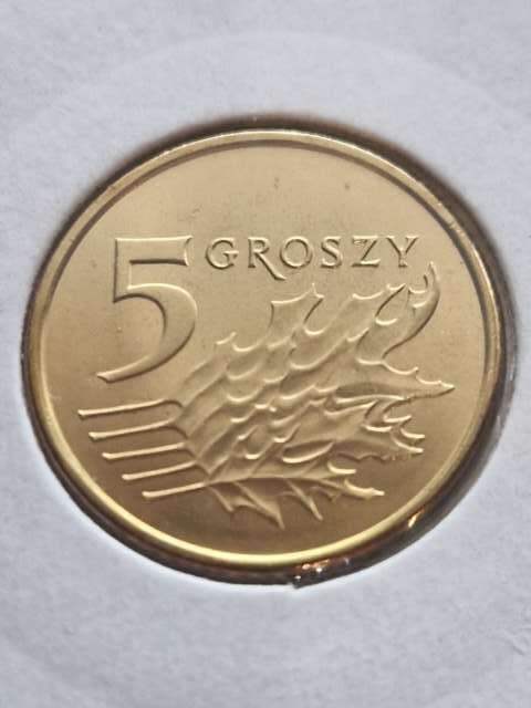 5 Groszy 2023 r
