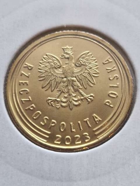 5 Groszy 2023 r