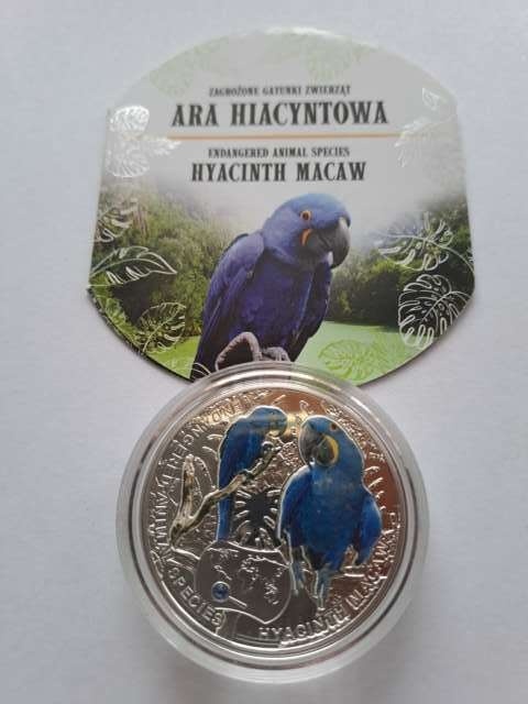 Niue Island 1 dolar Ara Hiacyntowa 2014 r