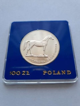 100 zł Ochrona Środowiska Koń 1981 r