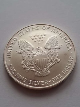 USA Dollar Liberty 2006 r