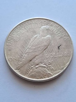 USA Dollar Peace 1922 r