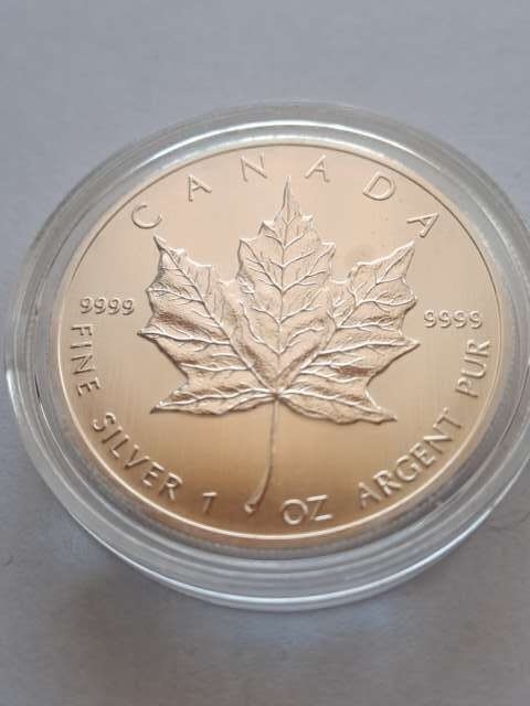Kanada 5 Dolarów Liść 2013 r