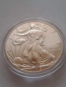 USA Dollar Liberty 2015 r