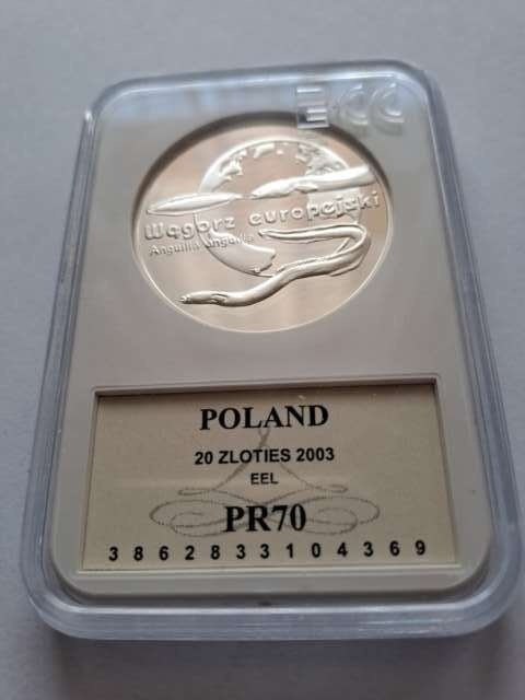 20 zł Węgorz Europejski 2003 r GCN PR 70