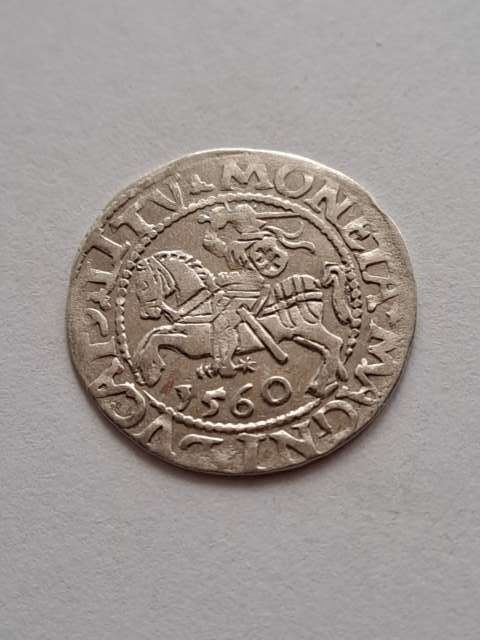Półgrosz Zygmunt II August 1560 r