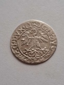 Półgrosz Zygmunt II August 1560 r