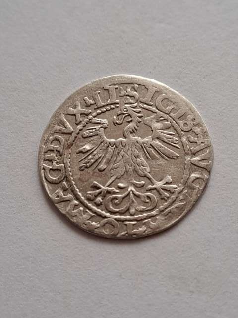 Półgrosz Zygmunt II August 1560 r