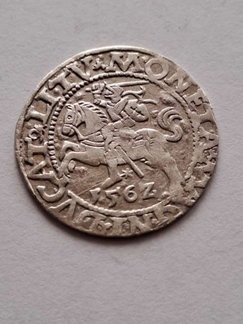 Półgrosz Zygmunt II August 1562 r