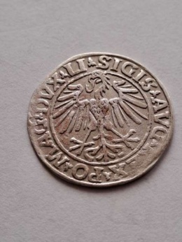 Półgrosz Zygmunt II August 1548 r