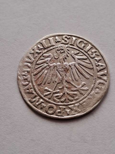 Półgrosz Zygmunt II August 1548 r
