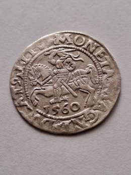 Półgrosz Zygmunt II August 1560 r