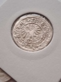 Półgrosz A. Jagiellończyk 1492-1506