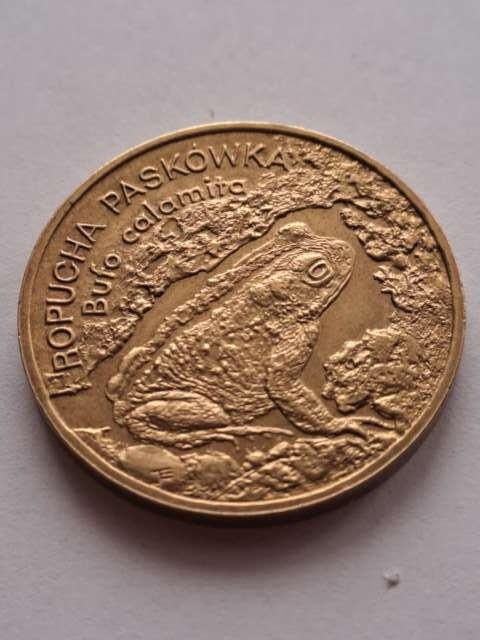 2 zł Ropucha Paskówka 1998 r