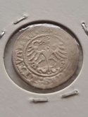 Półgrosz Wilno Zygmunt I Stary 1513 r