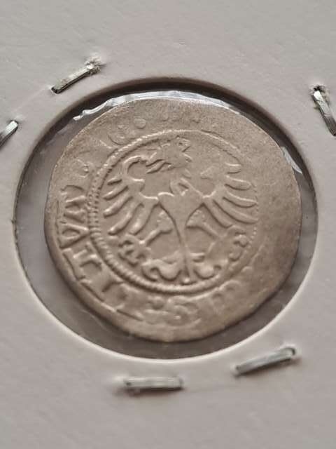 Półgrosz Wilno Zygmunt I Stary 1513 r