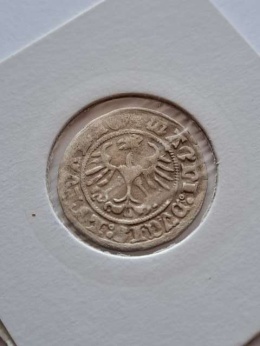 Półgrosz Wilno Zygmunt I Stary 1511 r