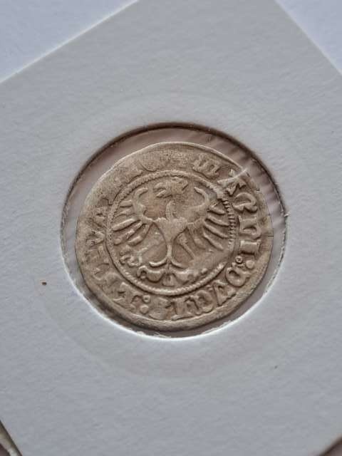 Półgrosz Wilno Zygmunt I Stary 1511 r