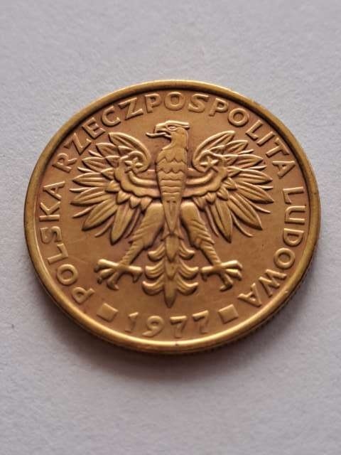 5 złotych 1977 r