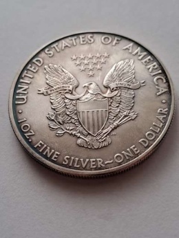 USA Dollar Liberty 2010 r