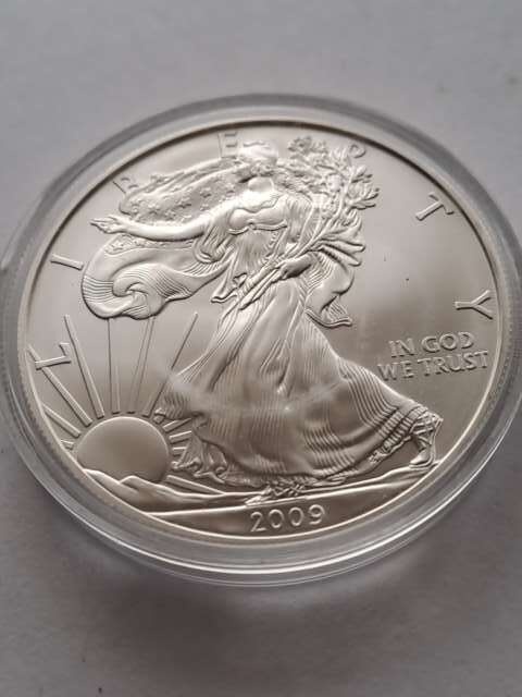 USA Dollar Liberty 2009 r