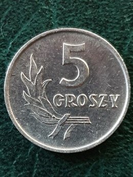 5 groszy 1962 rok