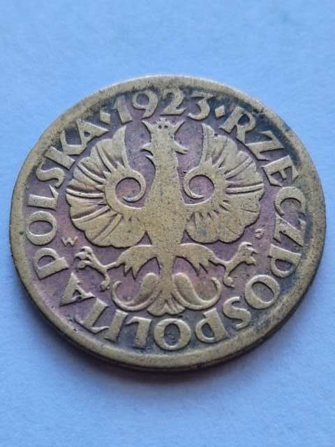 5 groszy 1923 rok