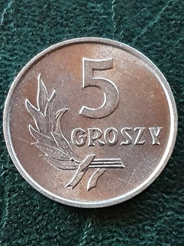 5 groszy 1962 r