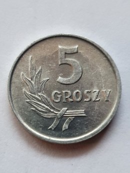 5 groszy 1962 r